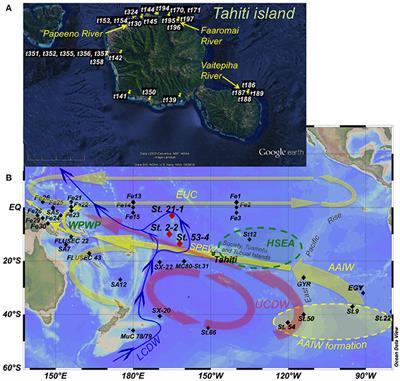 The Influence of Basaltic Islands on the Oceanic REE Distribution: A Case Study From the Tropical South Pacific